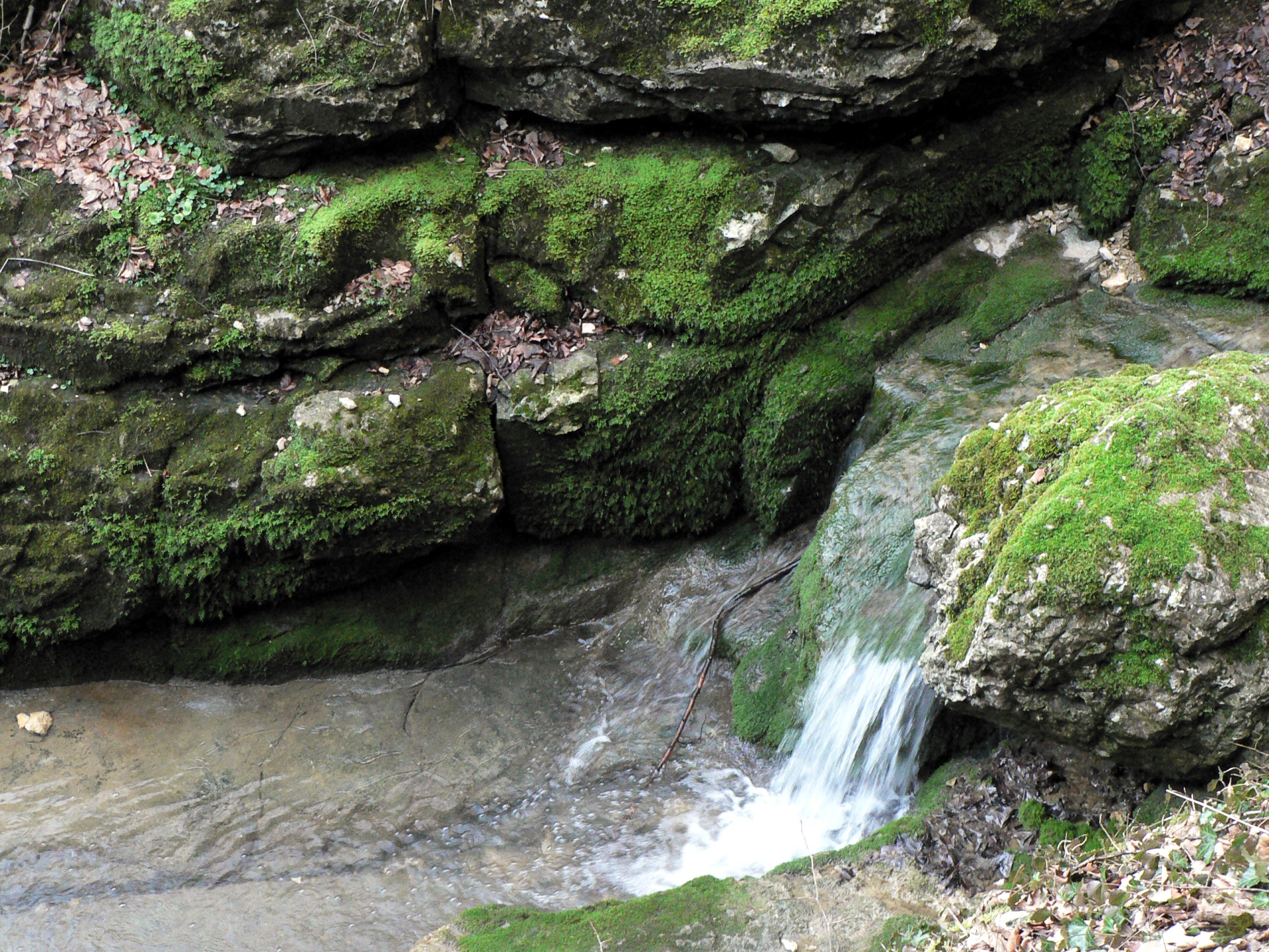 Falkensteiner Höhle mit dem Fluss Elsache, der dort entspringt, Foto: © Monika Tugcu / pixelio.de